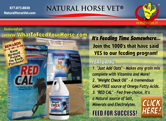 Natural Horse Vet